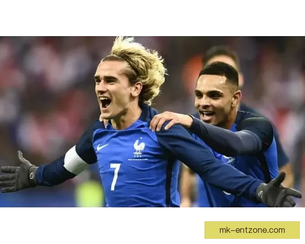 世界杯竞猜稳定平台全面解析安全高效稳定娱乐体验首选指南